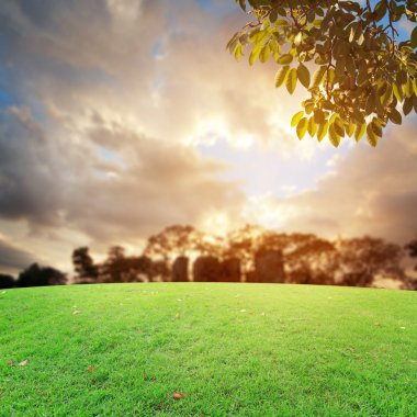 Landscap gökyüzü ve çim üzerinde arka plan rötuş