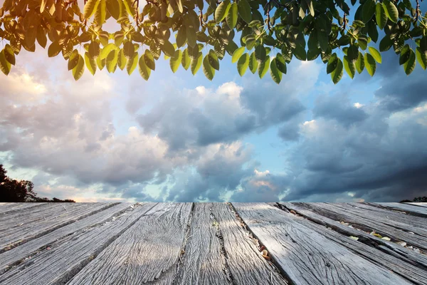 El cielo y la hierba en el retoque de fondo — Foto de Stock