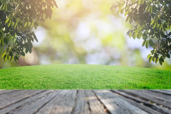 Bokeh ve çim arka plan üzerinde rötuş
