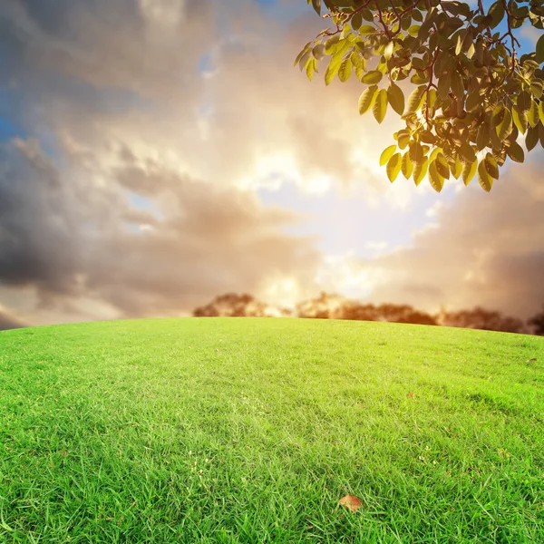 Landscap gökyüzü ve çim üzerinde arka plan rötuş