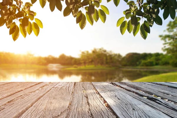 El parque de casquetes y la puesta de sol en el retoque de fondo — Foto de Stock