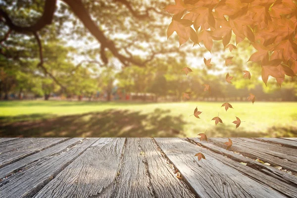 Arka plan rötuş bokeh ve çimen çiçekler