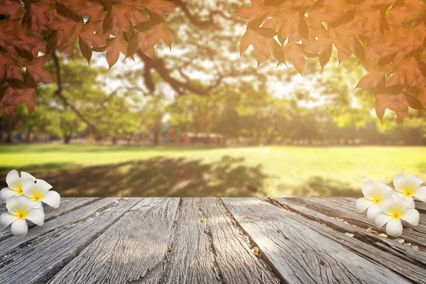 Arka plan rötuş bokeh ve çimen çiçekler