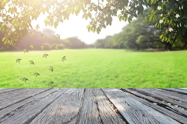 El retoque de fondo bokeh y flores en la hierba — Foto de Stock