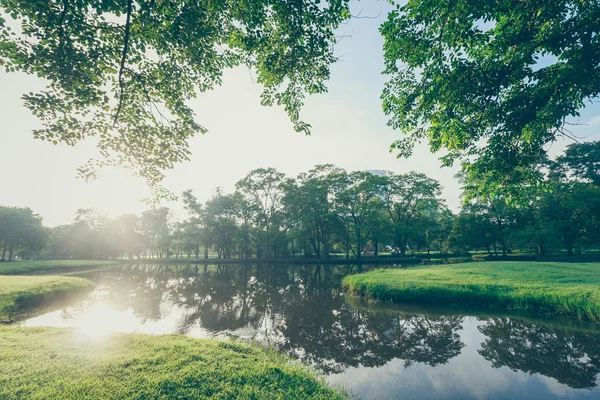 Pohon landscap dan matahari terbit gaya vintage di taman — Stok Foto