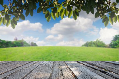 Manzara Parkı ve gökyüzü veya çim arka plan rötuş