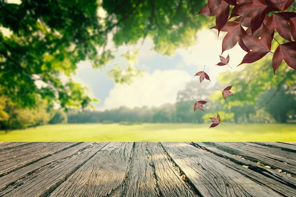 El árbol de casquete y el estilo vintage del amanecer en el parque — Foto de Stock