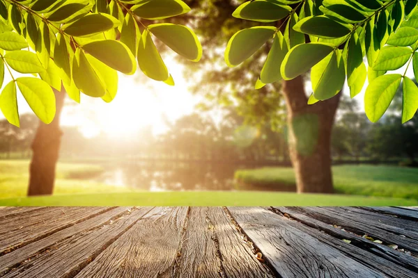 Manzara park ve gündoğumu arka plan rötuş