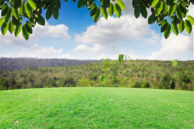 Mavi gökyüzünde bulutlar ve çiçeklerle çimenlerin üzerinde