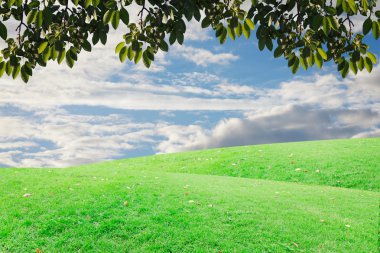 Mavi Gökyüzü bulutlu çimenlerin üzerinde