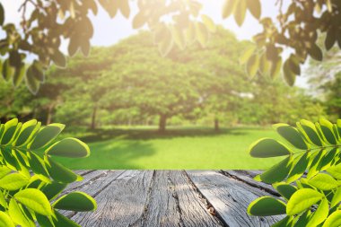Landscap ağaç ve çiçek Park
