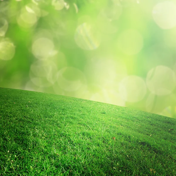 The bokeh and grass on background retouch — Stock Photo, Image