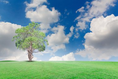 Landscap mavi gökyüzü bulutlar ve ağaç üzerinde çim rötuş