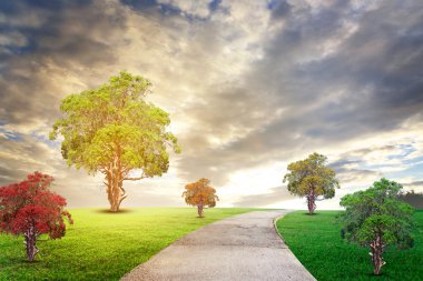 Landscap mavi gökyüzü bulutlar ve ağaç üzerinde çim rötuş