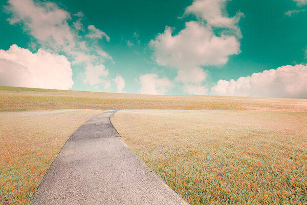 The landscap blue sky with clouds and grass retouch