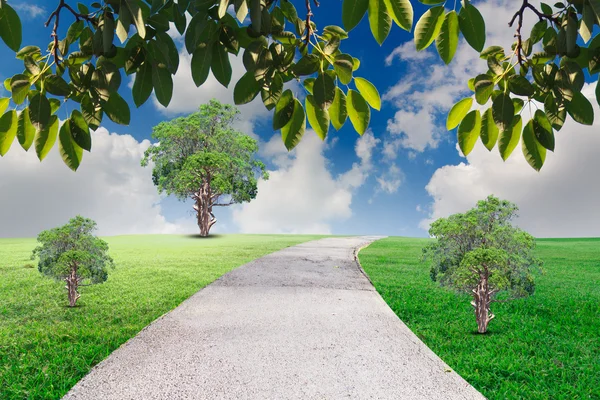 Landscap mavi gökyüzü bulutlar ve ağaç üzerinde çim rötuş