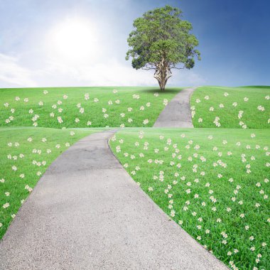 Landscap mavi gökyüzü bulutlar ve ağaç çimenlerin üzerinde