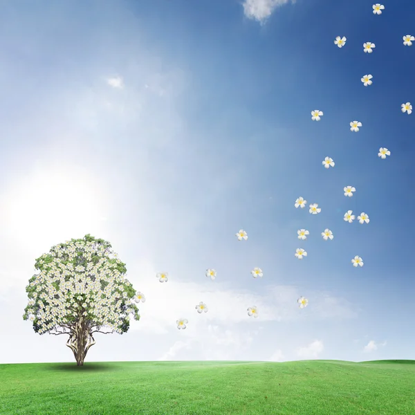 Il cielo paesaggistico blu con nuvole e albero sull'erba — Foto Stock