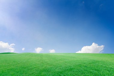 Güzel landscap alan çim ve gökyüzü rötuş