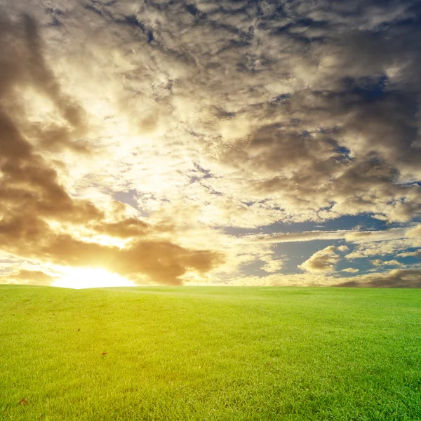 La hermosa hierba de campo landscap y retoque cielo — Foto de Stock