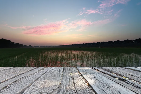 The landscap indah lapangan rumput dan langit vintage — Stok Foto