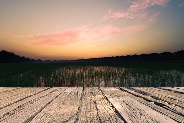 La hermosa hierba de campo landscap y cielo vintage — Foto de Stock