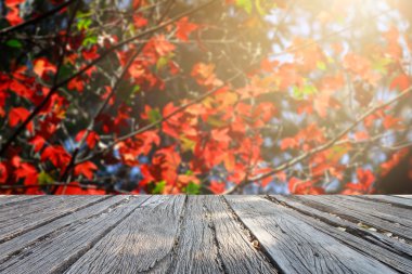 Güzel arka plan ve alan çim vintage