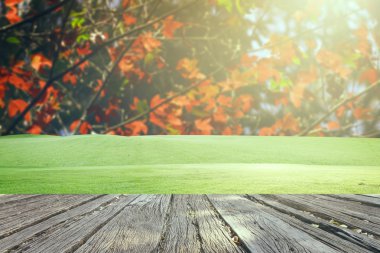 Güzel arka plan ve alan çim vintage