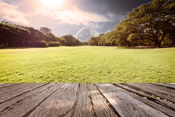 Güzel landscap alan çim ve gökyüzü vintage