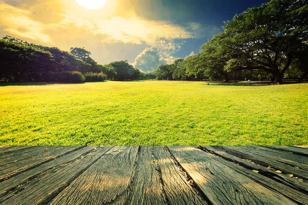 La hermosa hierba de campo landscap y cielo vintage — Foto de Stock