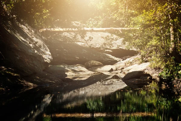 Красивый ландшафтный лес и водопад цветные фильтры — стоковое фото