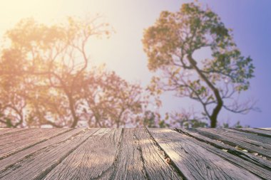 Güzel landscap orman ve günbatımı renk filtreleri