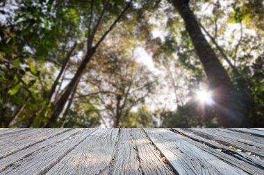 Güzel landscap orman ve günbatımı renk filtreleri