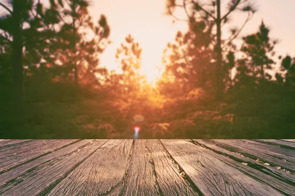 Die schöne Landschaft Wald und Sonnenuntergang Farbfilter — Stockfoto