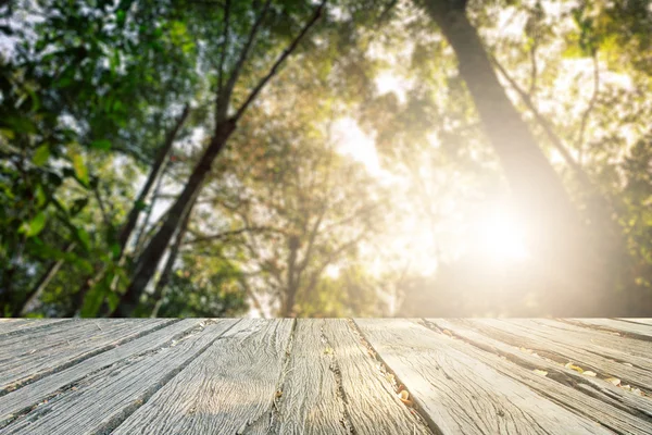 El hermoso bosque de casquete y los filtros de color del atardecer — Foto de Stock