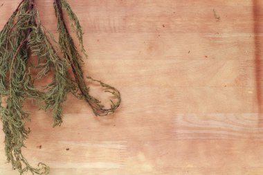 Arka plan soyut ahşap renk filtreleri stili