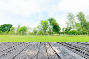 City güzel landscap park