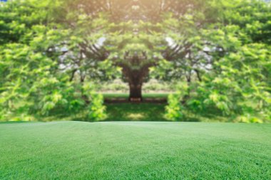 Güzel landscap büyük ağaç ve gündoğumu vintage