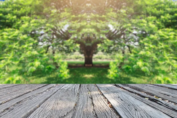 Güzel landscap büyük ağaç ve gündoğumu vintage