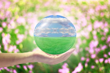 Herkesin elinde doğal dünya.