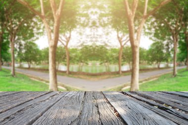 City güzel landscap doğa ve günbatımı park