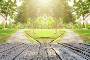 City güzel landscap doğa ve günbatımı park