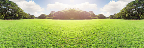 The beautiful panorama nature and sunset park in city