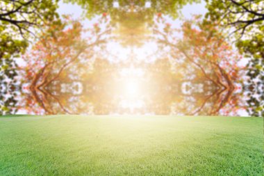 Güzel arka plan doğa ve gündoğumu