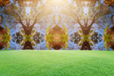 Güzel arka plan doğa ve gündoğumu