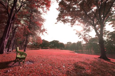 Güzel landscap parkta şehir renk filtreleri vintage