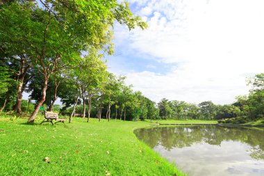 Güzel landscap parkta şehir renk filtreleri vintage
