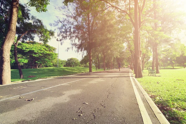 Güzel landscap parkta şehir renk filtreleri vintage