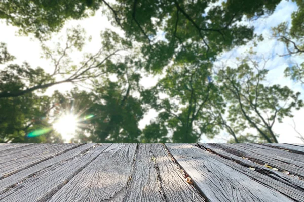 La naturaleza perfecta de madera y fondo — Foto de Stock