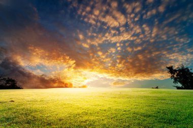 Gündoğumu gökyüzü bulut ve çim ile 